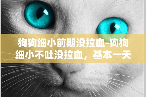 狗狗細小前期沒拉血-狗狗細小不吐沒拉血，基本一天拉一次