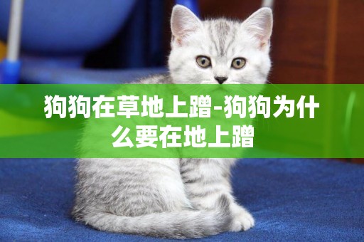 狗狗在草地上蹭-狗狗為什么要在地上蹭