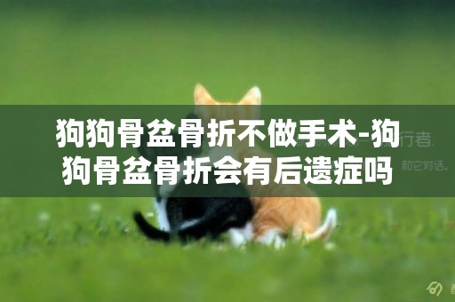 狗狗骨盆骨折不做手術-狗狗骨盆骨折會有后遺癥嗎