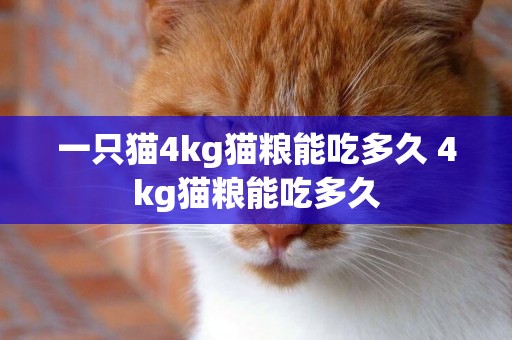 一只貓4kg貓糧能吃多久 4kg貓糧能吃多久