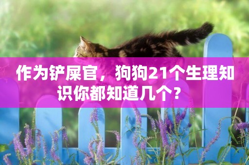 作為鏟屎官，狗狗21個生理知識你都知道幾個？ 