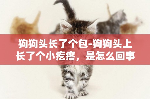 狗狗頭長了個包-狗狗頭上長了個小疙瘩，是怎么回事？