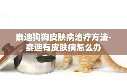 泰迪狗狗皮膚病治療方法-泰迪有皮膚病怎么辦
