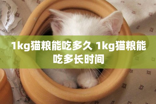 1kg貓糧能吃多久 1kg貓糧能吃多長時間