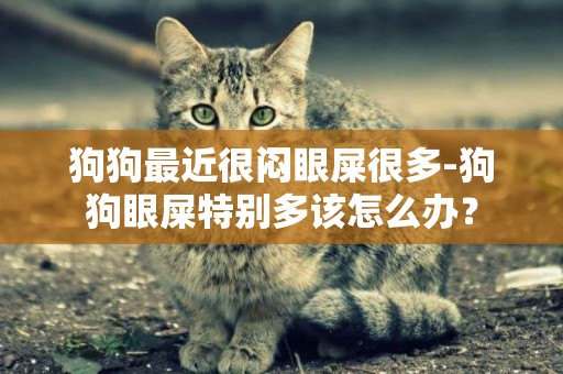 狗狗最近很悶眼屎很多-狗狗眼屎特別多該怎么辦？