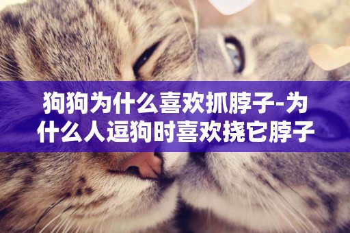 狗狗為什么喜歡抓脖子-為什么人逗狗時喜歡撓它脖子