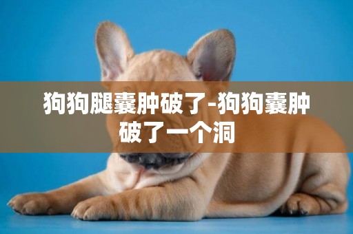 狗狗腿囊腫破了-狗狗囊腫破了一個洞