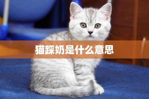 貓踩奶是什么意思