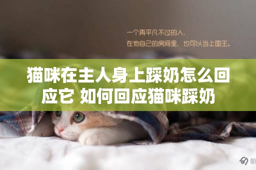貓咪在主人身上踩奶怎么回應它 如何回應貓咪踩奶