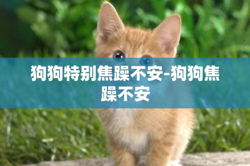 狗狗特別焦躁不安-狗狗焦躁不安