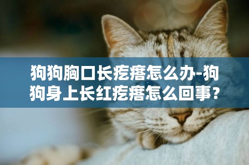 狗狗胸口長疙瘩怎么辦-狗狗身上長紅疙瘩怎么回事？