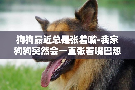 狗狗最近總是張著嘴-我家狗狗突然會一直張著嘴巴想咬我？