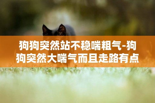 狗狗突然站不穩喘粗氣-狗狗突然大喘氣而且走路有點不穩