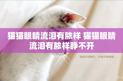 貓貓眼睛流淚有膿樣 貓貓眼睛流淚有膿樣睜不開