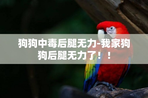 狗狗中毒后腿無力-我家狗狗后腿無力了！！