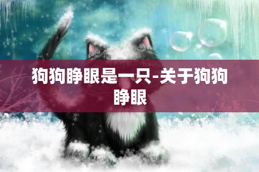 狗狗睜眼是一只-關于狗狗睜眼
