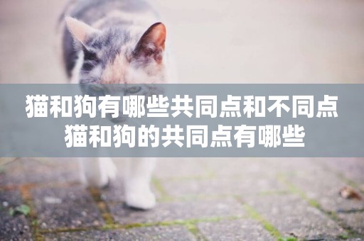 貓和狗有哪些共同點和不同點 貓和狗的共同點有哪些