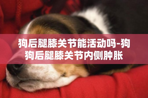 狗后腿膝關節能活動嗎-狗狗后腿膝關節內側腫脹
