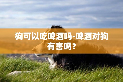 狗可以吃啤酒嗎-啤酒對狗有害嗎？