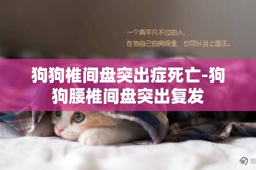 狗狗椎間盤突出癥死亡-狗狗腰椎間盤突出復發