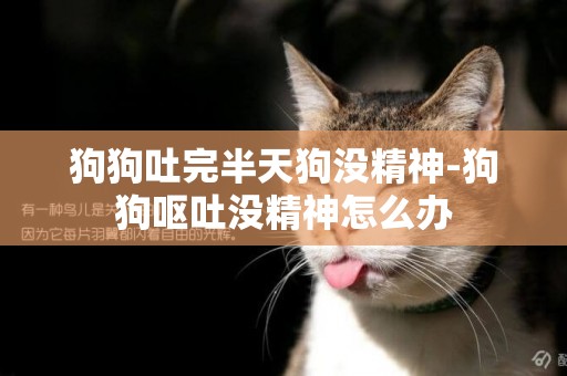 狗狗吐完半天狗沒精神-狗狗嘔吐沒精神怎么辦