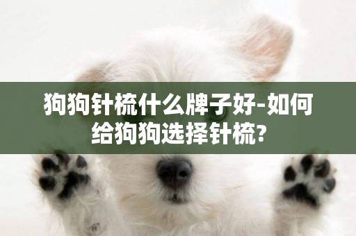 狗狗針梳什么牌子好-如何給狗狗選擇針梳?
