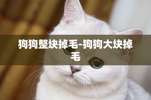 狗狗整塊掉毛-狗狗大塊掉毛