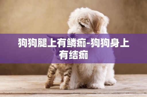 狗狗腿上有鱗痂-狗狗身上有結痂