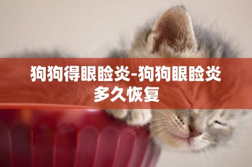 狗狗得眼瞼炎-狗狗眼瞼炎多久恢復