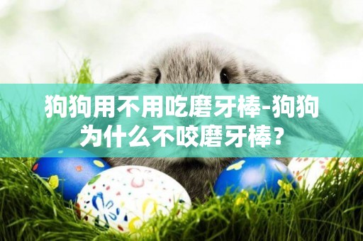 狗狗用不用吃磨牙棒-狗狗為什么不咬磨牙棒？