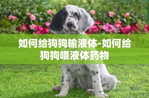 如何給狗狗輸液體-如何給狗狗喂液體藥物