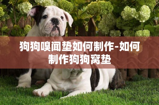 狗狗嗅聞墊如何制作-如何制作狗狗窩墊