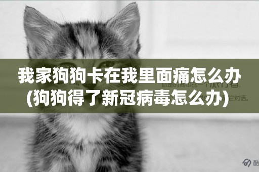 我家狗狗卡在我里面痛怎么辦(狗狗得了新冠病毒怎么辦) 