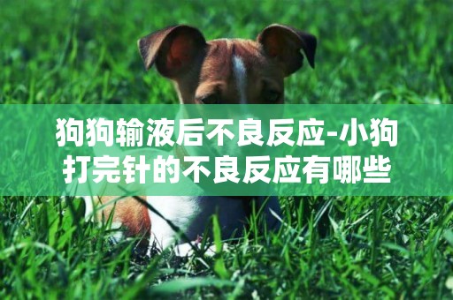 狗狗輸液后不良反應-小狗打完針的不良反應有哪些