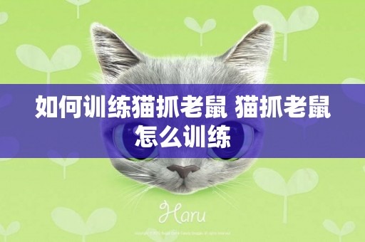 如何訓練貓抓老鼠 貓抓老鼠怎么訓練