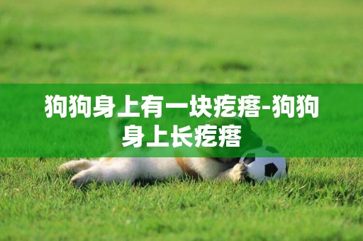 狗狗身上有一塊疙瘩-狗狗身上長疙瘩