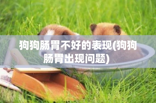 狗狗腸胃不好的表現(狗狗腸胃出現問題) 