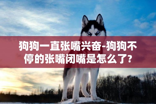 狗狗一直張嘴興奮-狗狗不停的張嘴閉嘴是怎么了?