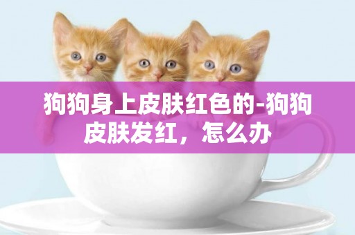 狗狗身上皮膚紅色的-狗狗皮膚發紅，怎么辦