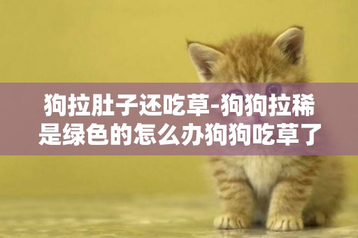 狗拉肚子還吃草-狗狗拉稀是綠色的怎么辦狗狗吃草了在樓下