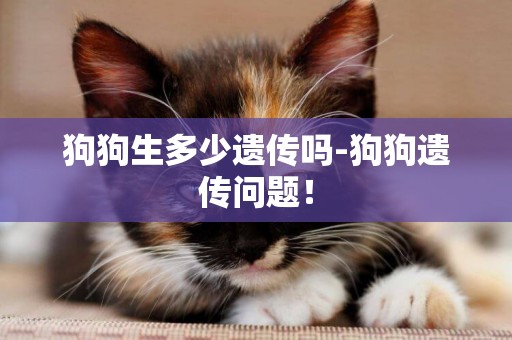 狗狗生多少遺傳嗎-狗狗遺傳問題！