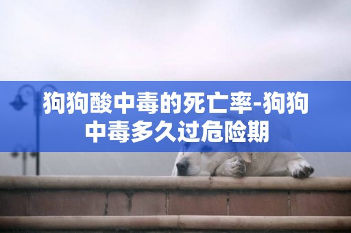 狗狗酸中毒的死亡率-狗狗中毒多久過危險期