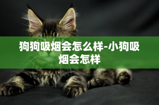 狗狗吸煙會怎么樣-小狗吸煙會怎樣