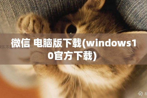 微信 電腦版下載(windows10官方下載) 