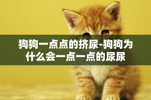 狗狗一點點的擠尿-狗狗為什么會一點一點的尿尿