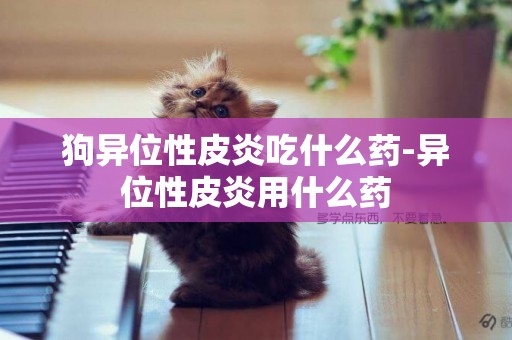 狗異位性皮炎吃什么藥-異位性皮炎用什么藥