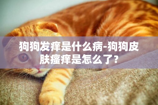 狗狗發癢是什么病-狗狗皮膚瘙癢是怎么了？