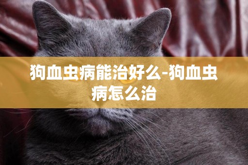 狗血蟲病能治好么-狗血蟲病怎么治