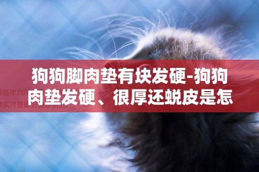 狗狗腳肉墊有塊發硬-狗狗肉墊發硬、很厚還蛻皮是怎么回事