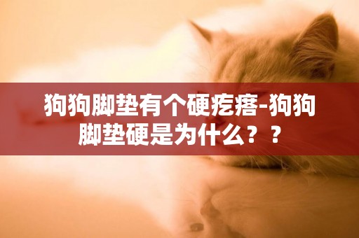 狗狗腳墊有個硬疙瘩-狗狗腳墊硬是為什么？？